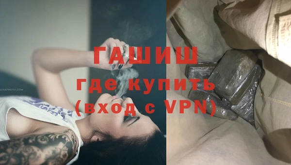 дмт Бородино