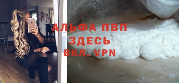 дмт Бородино