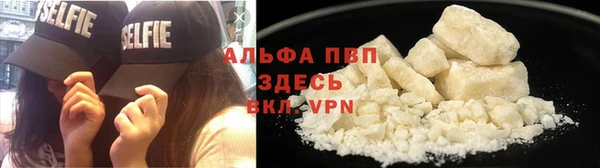 дмт Бородино