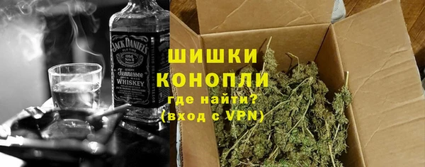 дмт Бородино